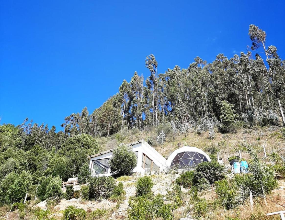 Glamping Nido Campo de lujo *