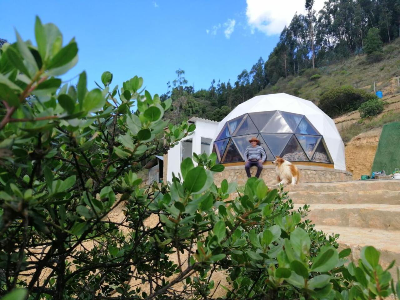 Glamping Nido Campo de lujo Iza