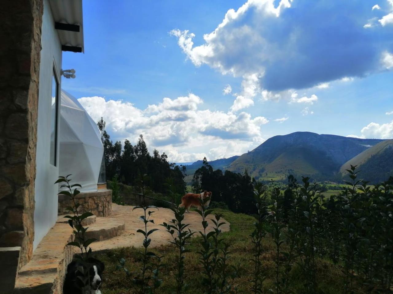 Glamping Nido Campo de lujo
