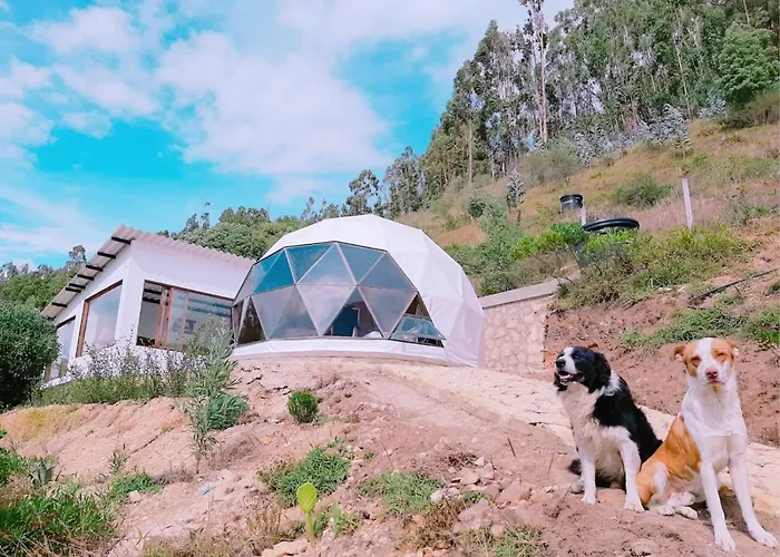 Glamping Nido Verde