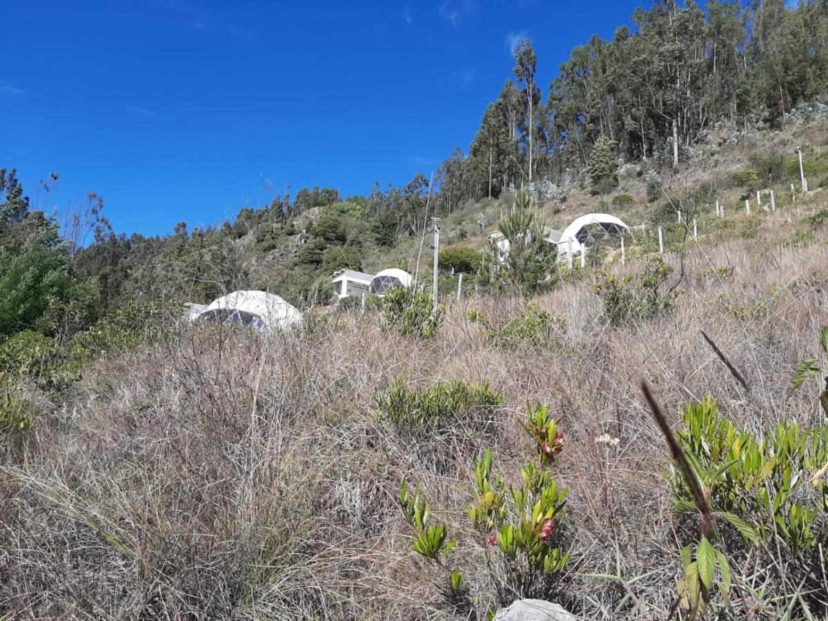 Campo de lujo Glamping Nido Iza