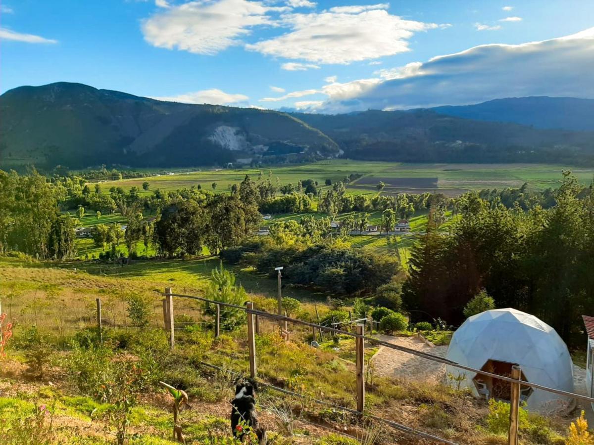 Luxury tent Glamping Nido