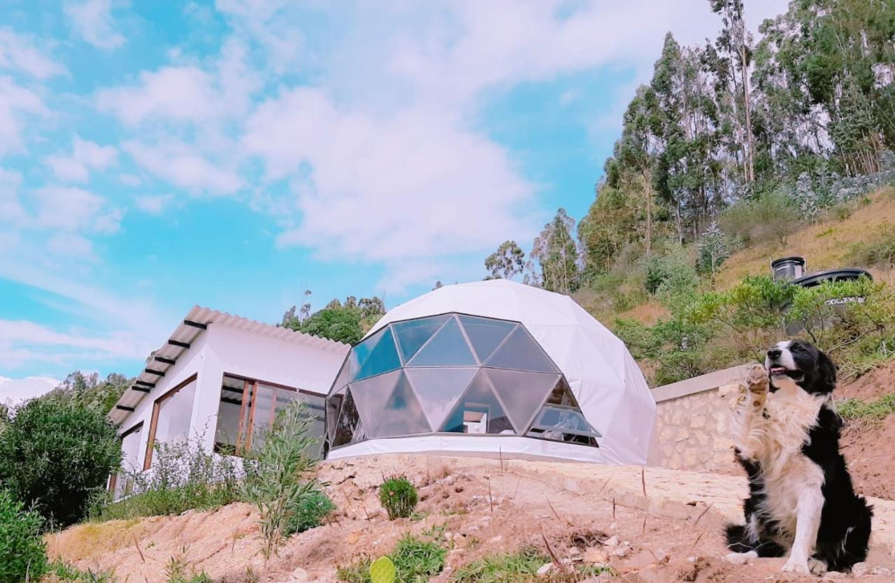 Glamping Nido Iza