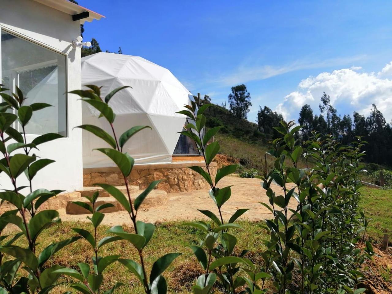 Glamping Nido