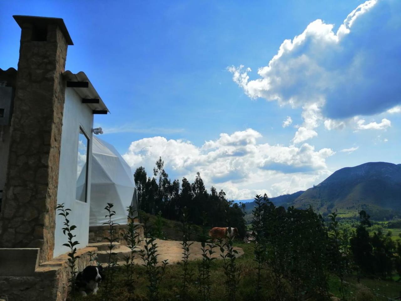Glamping Nido *
