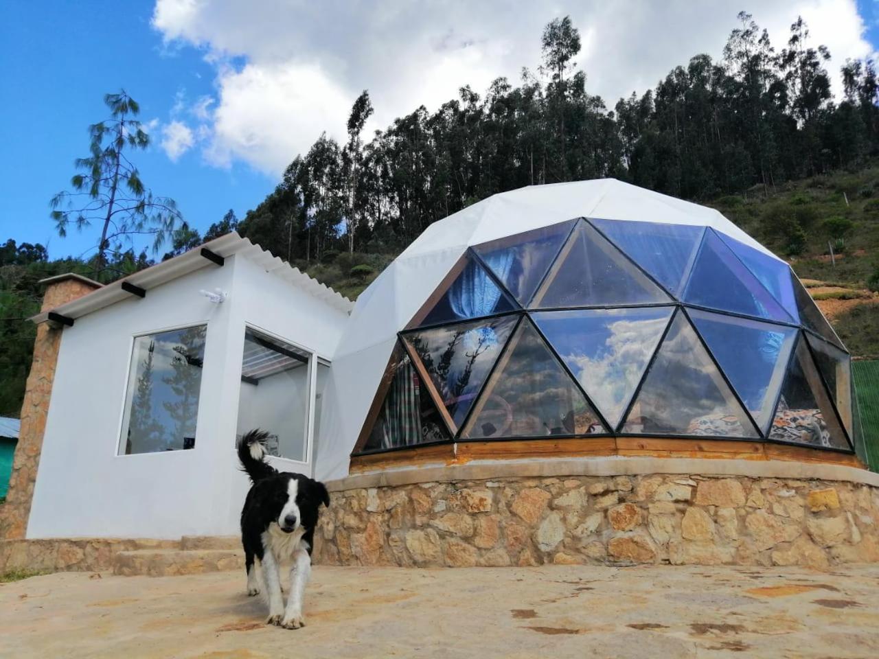 Glamping Nido *
