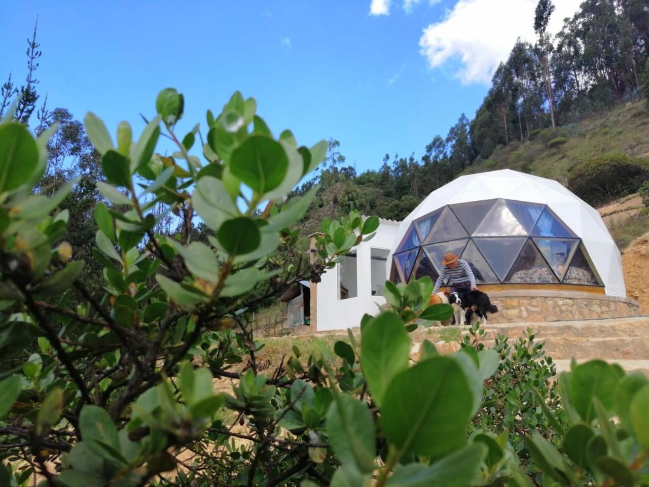 Glamping Nido * Iza