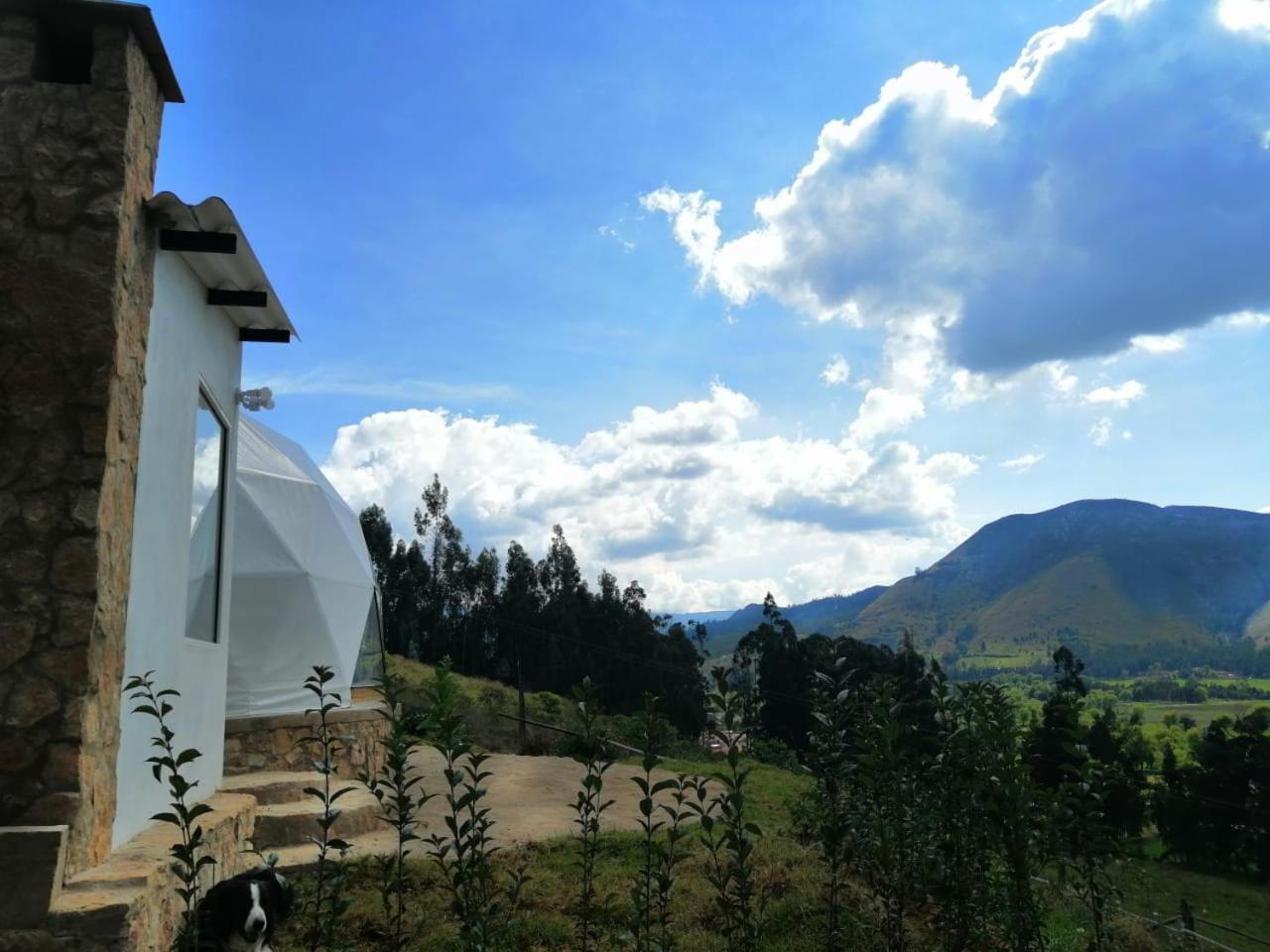 Glamping Nido *